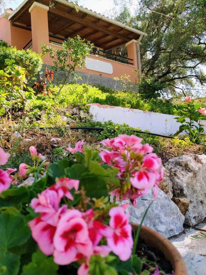 Villa Stefanos Apartments By Hotelius Glyfa Exterior photo